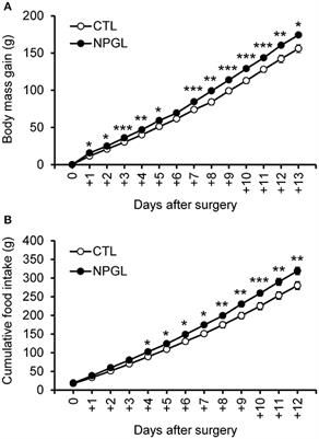 Neurosecretory Protein GL Induces Fat Accumulation in Chicks